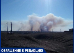 "Выгорит всё, а у меня дети растут", - местный житель