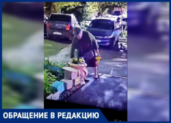 Цветы в Волжском вырывают по ночам прямо из клумб