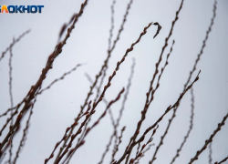 Выходные в Волжском будут морозными