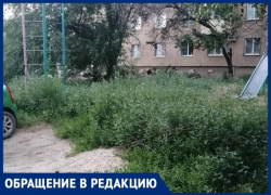 «Крокодилы заведутся скоро»: жительница Волжского рассказала о состоянии дворов
