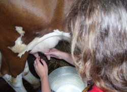 Под Волгоградом ревнивая доярка дважды вонзила нож в сожителя