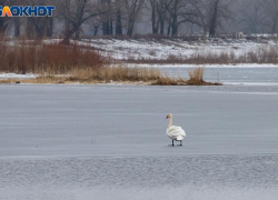Вторник в Волжском будет дождливым