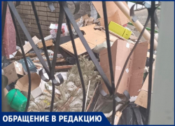 «Тараканы пешком ходят»: под окнами дома в Волжском растет гора мусора