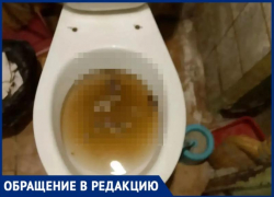 «Живем как в аду»: волжанка пожаловалась на коммунальный кошмар в общежитии на Молодежной, 42