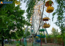 В Волжском обрабатывают зеленые насаждения от заболеваний и вредителей