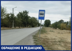 «Стоишь по колено в траве»: волжанка пожаловалась на остановку на острове Зеленый