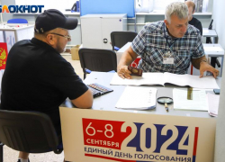 Данные о явке избирателей по состоянию на утро в последний день выборов