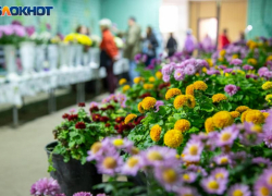 В Волжском закрыли для посещений теплицы ботсада