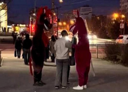 Волжанка обвинила аниматоров в «обдираловке»: фото с конями из «Трех богатырей» обошлось в 2000 рублей