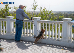 С чего начать путешествие по Волжскому: смотровая площадка и шикарные виды