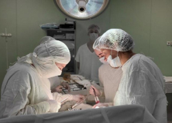 В Волгоградской области создали региональный кадровый центр для решения проблемы нехватки медиков