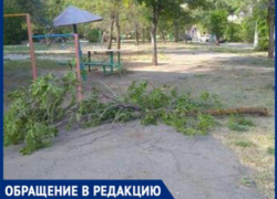 "Дети гуляли возле турника, когда упала ветка", - волжанка
