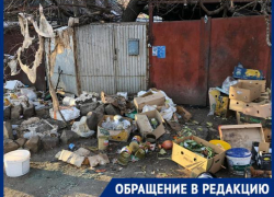 "Как было все засрано так и остается", - волжанка