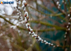 Пасмурные и дождливые выходные прогнозируют в Волжском