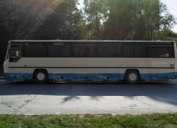 Для волжан возобновили работу 10 межмуниципальных маршрутов