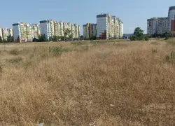 «Камыш выше человеческого роста»: жители 28-го микрорайона в Волжском пожаловались на заросший пустырь