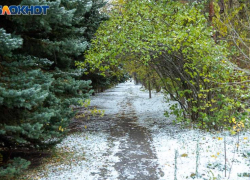 Пасмурный день и холодная ночь: погода на среду в Волжском