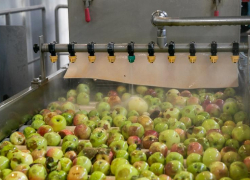 Рекордный урожай собрали в Волгоградской области в 2025 году