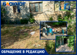 Из УК в ТСН: волжане жалуются на отсутствие дворников и наличие мусора