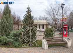 Смогли ли спастись волжские ели от черных лесорубов в преддверии Нового года? Итоги рейда