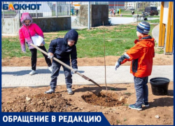 Волжане платят дворникам за полив деревьев в парке ПКиО «Новый Город»