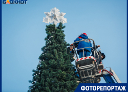 В Волжском установили главную елку города