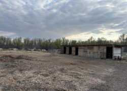 Жалобы продолжаются: владелица конного клуба в Волжском рассказала о давлении во время расследования