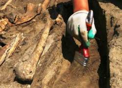 В Котельниково во дворе детского сада найдены человеческие останки