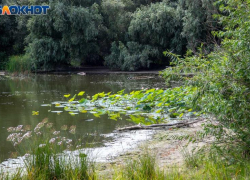 Непогода накроет Волгоградскую область до конца суток и в выходные