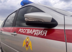 В Волжском росгвардейцы пресекли два хищения в торговой сети