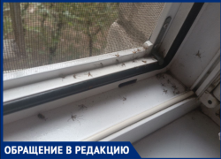В комариное логово превратились квартиры МКД в Волжском из-за потопа в подвале