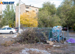 В Волжском регоператор наконец согласился вывозить листву из мусорных контейнеров и ввел льготы
