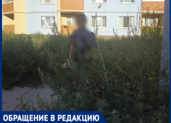 "Траву не косят, скоро не найдем в ней своих детей", - волжанка