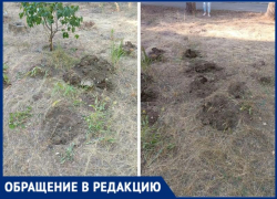 В Волжском «коммунальщики» уничтожили цветники у дома на Горького, 46