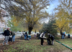 В Волжском навели порядок на проспекте Ленина: собрано 240 мешков мусора