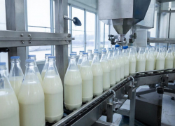 В Волжском выставили на продажу молочный завод 