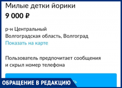 Мошенник хотел развести волжанку на деньги и пообещал «вдуть»