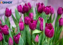 Сутки несут нервную атмосферу: гороскоп на 9 февраля