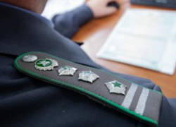 Среднеахтубинец позволил участку зарасти сорняками и лишился его по приговору суда