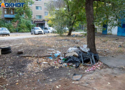 Что скрывается в волжском мусоре? 