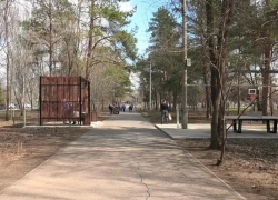 Юные волжане зарифмовали весну: в сквере «Школьный» отметили День поэзии