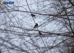 Морозы держатся в Волжском: погода