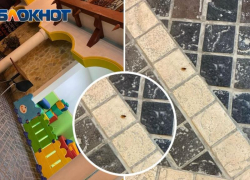 Тараканов в детском кафе волжского ТРЦ сняли на фото