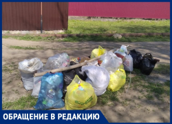 «Вынужден копить мусор пока не затухнет», - волжанин о работе администрации СНТ