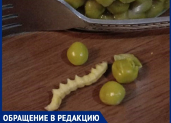 «В зеленом горошке обнаружилась маринованная гусеница»,- волжанка