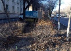 В Волжском сбили школьницу на пешеходном переходе