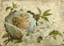 В Волжском музее хранится уникальный альбом XIX века