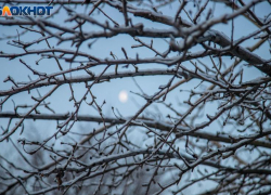 Волжский во вторник ждет снегопад и небольшой мороз