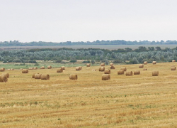 Стала известна причина возгорания 18 тонн сена в Волгоградской области 