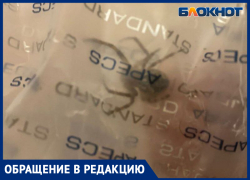 «Повылезали!» - волжанку начали терроризировать пауки